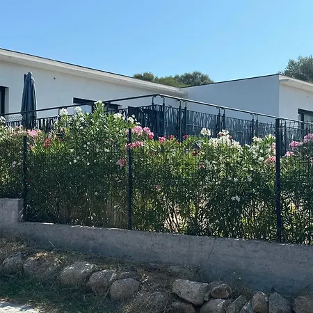 Piscine A Entre Et Montagne Figari (Corsica)